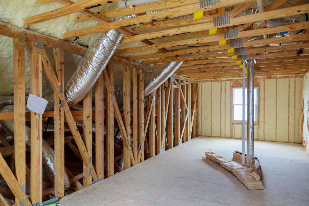 Best Eco-Friendly Insulation in Davisboro, GA