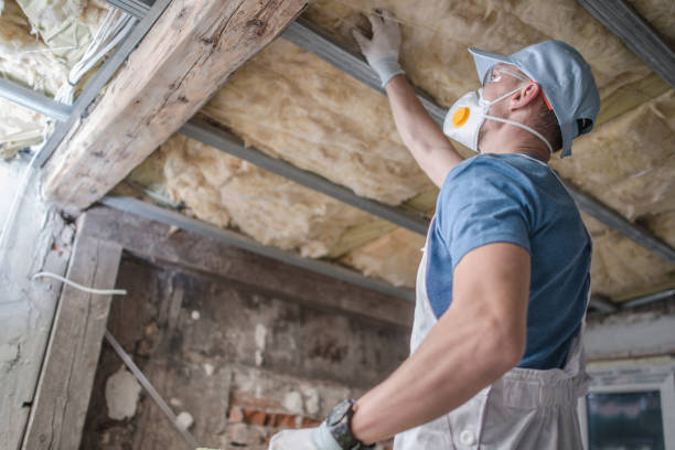 Best Commercial Insulation in Davisboro, GA
