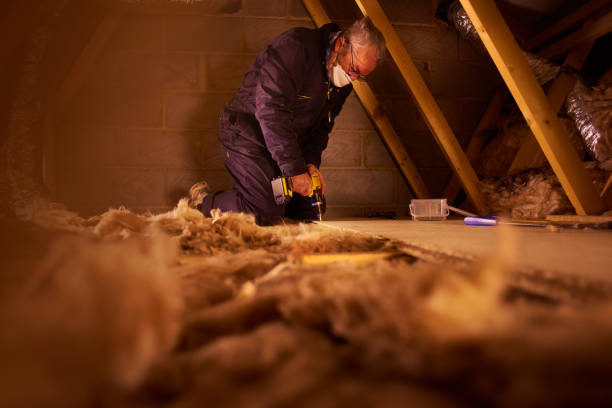 Types of Insulation We Offer in Davisboro, GA
